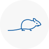 Mice Exterminators In Pinner